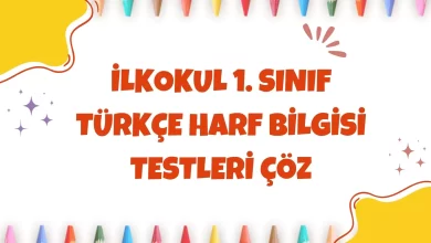 ilkokul 1. sınıf Türkçe dersi harf bilgisi testleri çöz