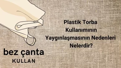 Plastik torba kullanımının yaygınlaşma nedenleri