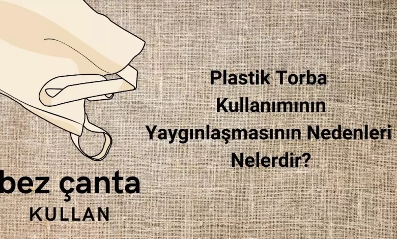 Plastik torba kullanımının yaygınlaşma nedenleri