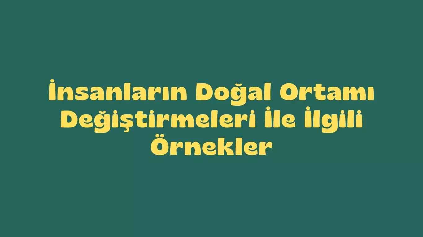 İnsanların doğal ortamı değiştirmeleri ile ilgili örnekler