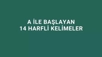 a ile başlayan 14 harfli kelimeler