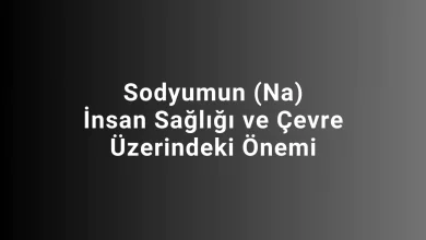 Sodyumun (Na) İnsan Sağlığı ve Çevre Üzerindeki Önemi