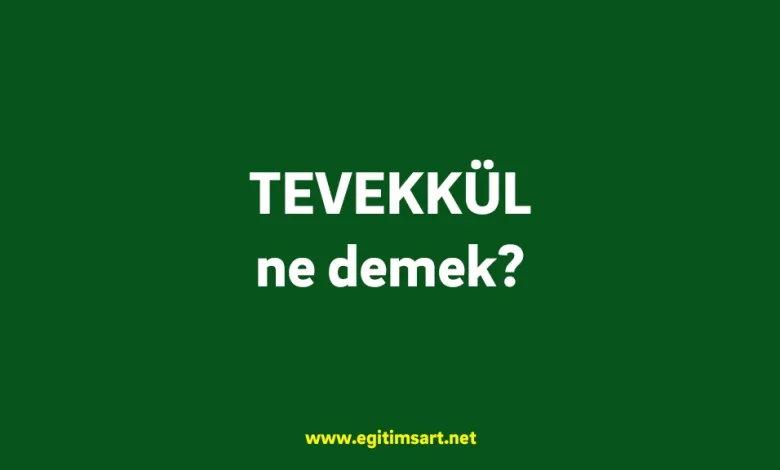 tevekkül ne demek