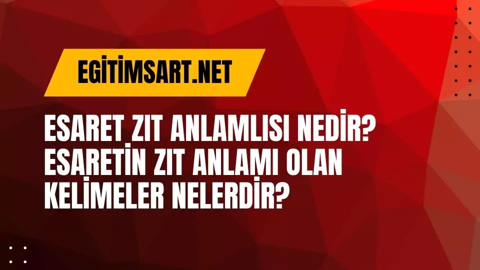 Esaret Zıt Anlamlısı Nedir? Esaretin Zıt Anlamı Olan Kelimeler Nelerdir?