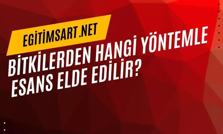 bitkilerden hangi yöntemle esans elde edilir