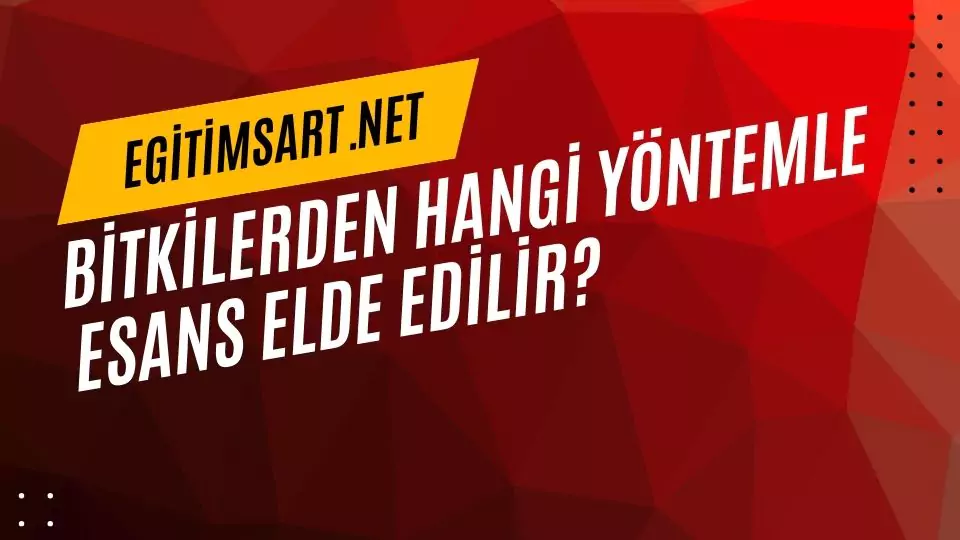 Bitkilerden hangi yöntemle esans elde edilir? bitkilerden hangi yöntemle esans elde edilir