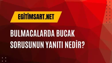 bulmacada çıkan bucak sorusunun yanıtı nedir