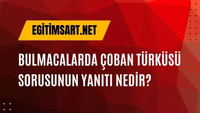 bulmacada çıkan çoban türküsü sorusunun cevabı nedir
