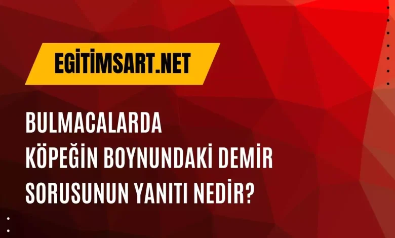 bulmacada köpeğin boynundaki demir cevabı