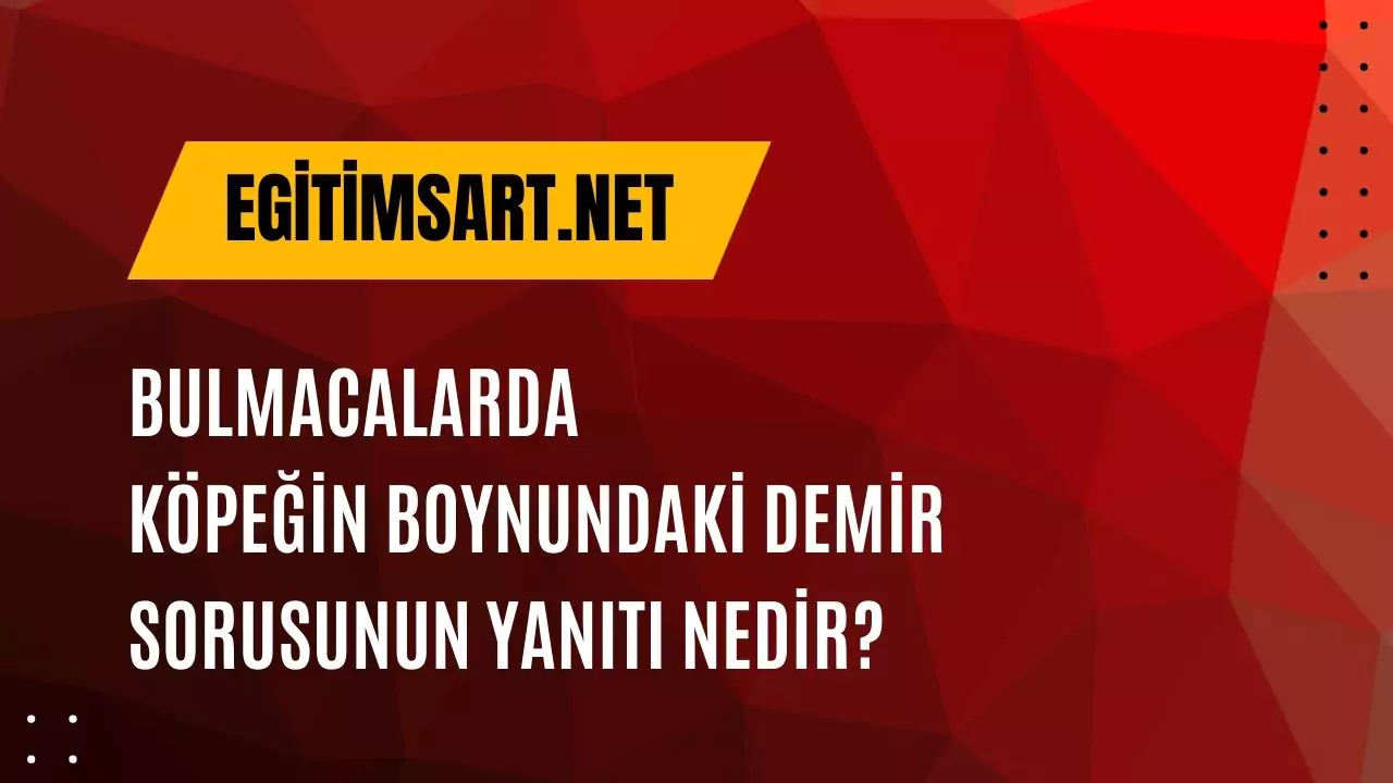 bulmacada köpeğin boynundaki demir cevabı