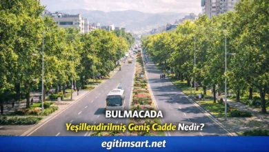 bulmacada yeşillendirilmiş geniş cadde nedir