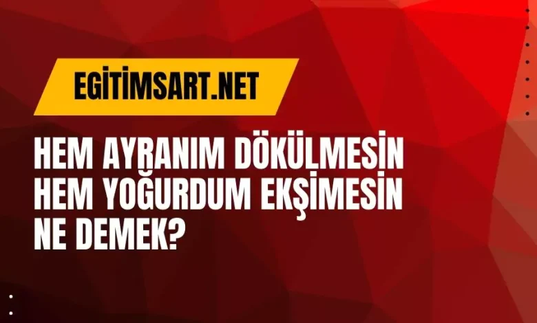 Hem ayranım dökülmesin hem yoğurdum ekşimesin ne demek