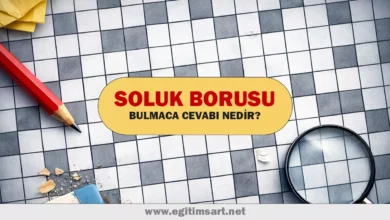 soluk borusu bulmaca cevabı nedir