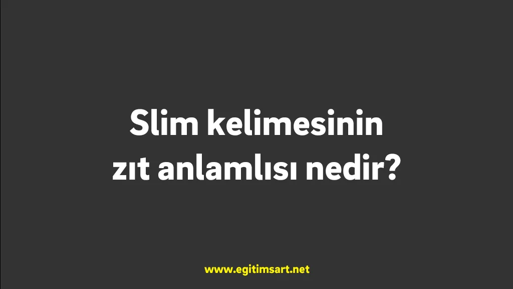 slim kelimesinin zıt anlamlısı nedir