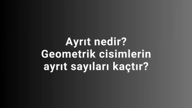 Ayrıt nedir? Geometrik cisimlerin ayrıt sayıları kaçtır