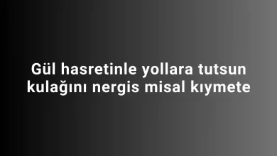 Gül hasretinle yollara tutsun kulağını nergis misal kıymete