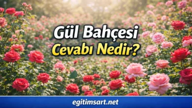 Gül bahçesi bulmaca cevabı nedir