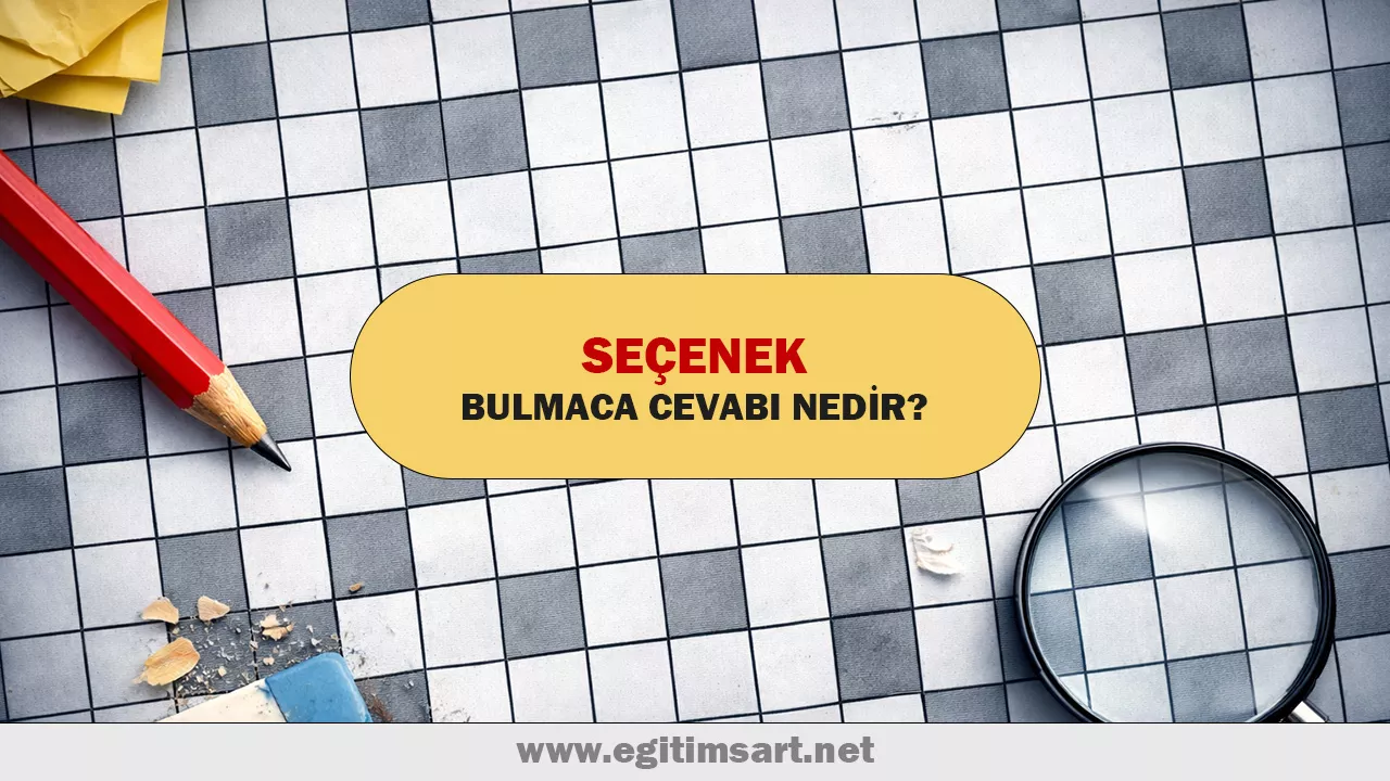 seçenek bulmaca cevabı nedir