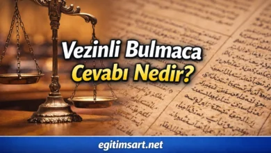 vezinli bulmaca cevabı nedir