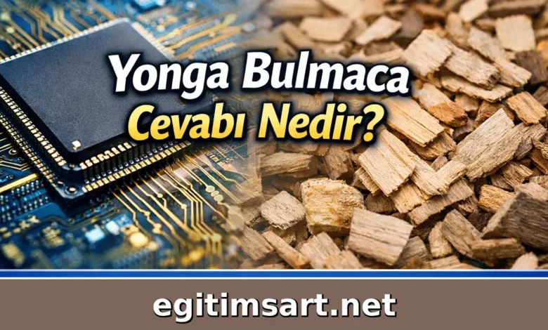 yonga bulmaca cevabı nedir