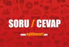 soru cevap