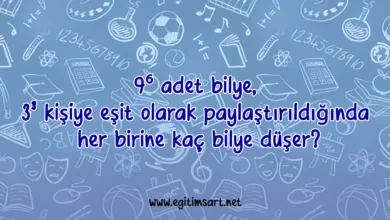bilye soru cevap
