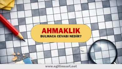 ahmaklık bulmaca cevabı nedir