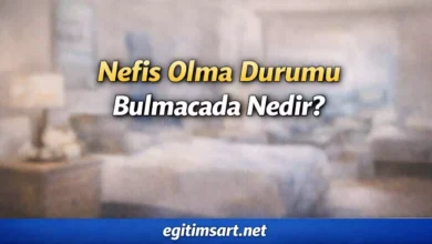 nefis olma durumu bulmacada nedir