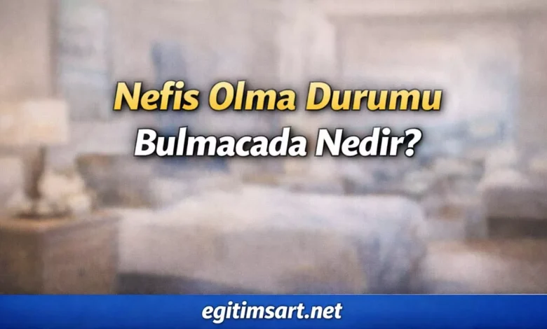 nefis olma durumu bulmacada nedir