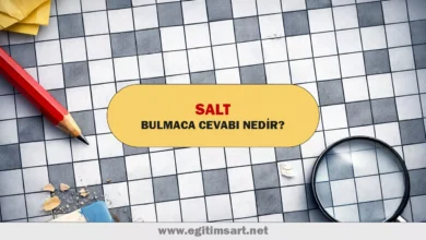 salt bulmaca cevabı nedir