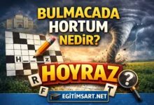 bulmacada hortum nedir