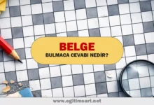 belge bulmaca cevabı nedir