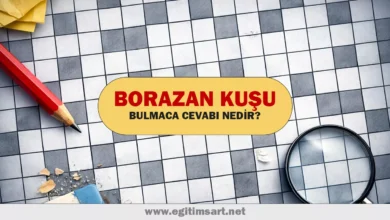 borazan kuşu bulmacada nedir