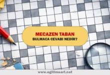 mecazen taban bulmaca cevabı nedir