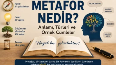 Metafor nedir ve metafor örnekleri