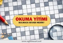 okuma yitimi bulmaca cevabı nedir