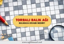 torbalı balık ağı bulmaca cevabı nedir