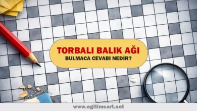 torbalı balık ağı bulmaca cevabı nedir