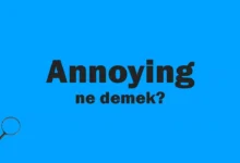 annoying nedir, ne demek, ne anlama gelir
