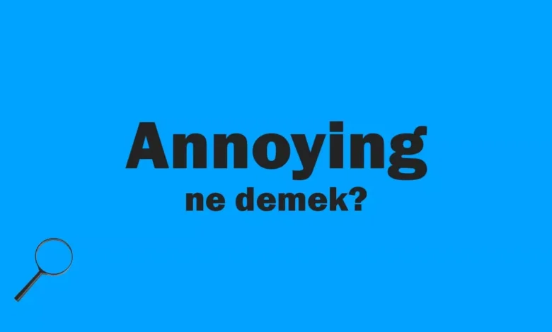 annoying nedir, ne demek, ne anlama gelir