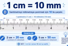 1 cm kaç mm