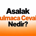 asalak bulmaca cevabı